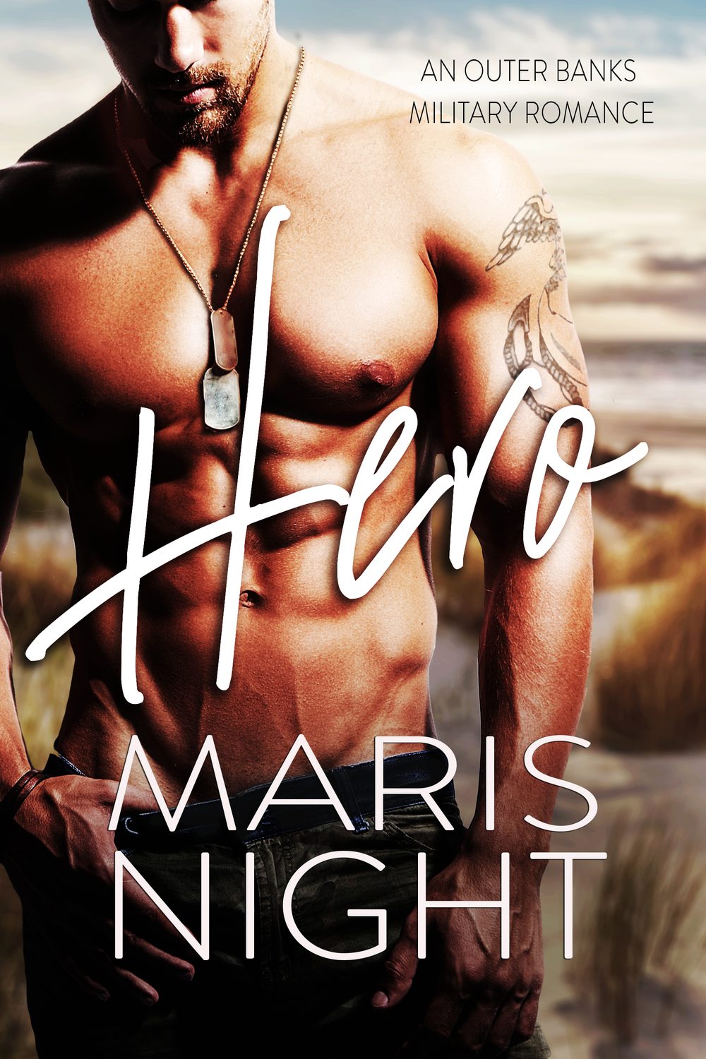 Hero book cover
