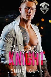 Forbidden Knight book cover