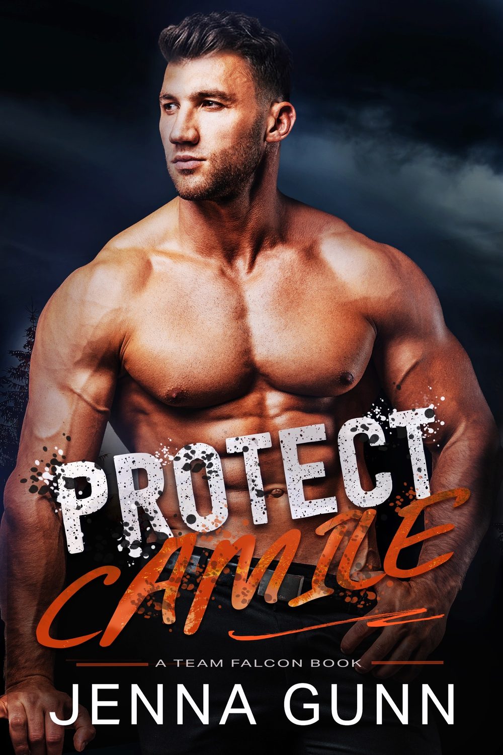 Protect Camille book cover